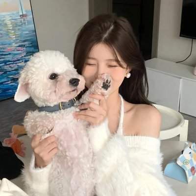 郊区的鸟